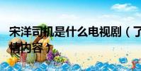 宋洋司機是什么電視劇(了解一下電視劇的劇情內容)
