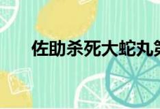 佐助殺死大蛇丸第幾集（你了解了嗎）