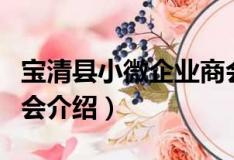寶清縣小微企業商會（關于寶清縣小微企業商會介紹）