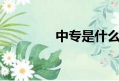 中專是什么（中專的定義）