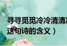 尋尋覓覓冷冷清清凄凄慘慘戚戚是什么意思（這句詩的含義）