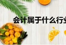 會計屬于什么行業類別（什么是會計）