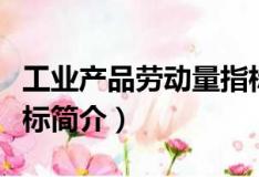 工業產品勞動量指標（關于工業產品勞動量指標簡介）