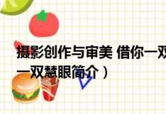 攝影創作與審美 借你一雙慧眼（關于攝影創作與審美 借你一雙慧眼簡介）