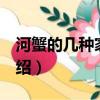 河蟹的幾種家常做法（河蟹的3種家常做法介紹）