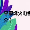 平原烽火電視劇劇情（平原烽火電視劇劇情簡介）