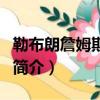勒布朗詹姆斯個人詳細資料（勒布朗詹姆斯的簡介）