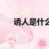 誘人是什么意思（詞語誘人什么意思）