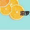 汨羅江在哪（汨羅江簡介）