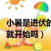 小暑是進伏的第一天嗎（小暑是進伏的第一天就開始嗎）