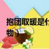 抱團取暖是什么動物（抱團取暖說的是哪種動物）