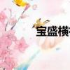 寶盛橫街（關于寶盛橫街介紹）