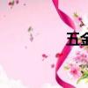 五金指什么（五金介紹）