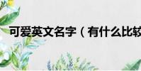 可愛英文名字(有什么比較可愛的英文名)