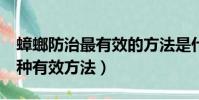 蟑螂防治最有效的方法是什么(消滅蟑螂的5種有效方法)