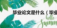 畢業論文是什么(畢業論文簡介)