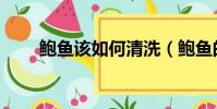 鮑魚該如何清洗(鮑魚的清洗方法)