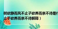 樹欲靜而風不止子欲養而親不待是什么意思(樹欲靜而風不止子欲養而親不待解釋)