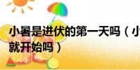 小暑是進伏的第一天嗎(小暑是進伏的第一天就開始嗎)