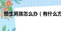想生男孩怎么辦(有什么方法可以實現呢)