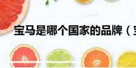 寶馬是哪個國家的品牌(寶馬是哪國的)