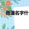 雨潼名字什么意思（名字雨潼什么意思）