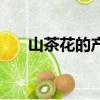 山茶花的產地（山茶花的產地是什么）