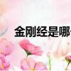 金剛經是哪個教派的（金剛經簡單介紹）