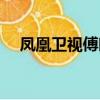 鳳凰衛視傅曉田簡歷（傅曉田個人資料）