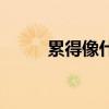 累得像什么（怎么寫累得像什么）