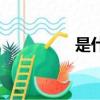 是什么意思（輕狂釋義）