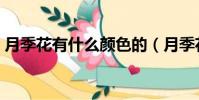 月季花有什么顏色的(月季花的顏色有哪些)