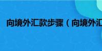 向境外匯款步驟(向境外匯款有什么方式)