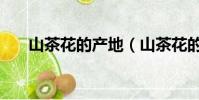 山茶花的產地(山茶花的產地是什么)
