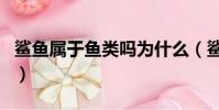 鯊魚屬于魚類嗎為什么(鯊魚屬于魚類的原因)