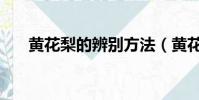 黃花梨的辨別方法(黃花梨如何鑒別)