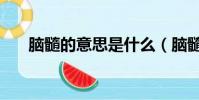 腦髓的意思是什么(腦髓是什么意思)