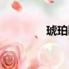琥珀歌詞（琥珀歌曲介紹）