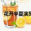 花開半夏演員表（哪些演員出演了這部劇）