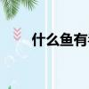 什么魚有毒不能吃（哪些魚不能吃）