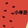 小年是什么意思（小年的意思）