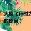 大雁飛行時為什么要排隊（大雁飛行時要排隊的原因）