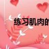 練習肌肉的幾種方法（如何鍛煉肌肉）