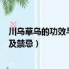 川烏草烏的功效與作用及禁忌（川烏草烏有什么功效與作用及禁忌）