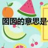 囡囡的意思是什么意思（囡囡的意思是什么）