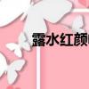 露水紅顏電影大結局（你都了解嗎）