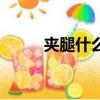 夾腿什么意思（夾腿意思是什么）