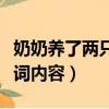 奶奶養了兩只雞兒歌歌詞（奶奶養了兩只雞歌詞內容）