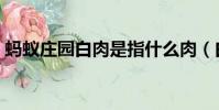 螞蟻莊園白肉是指什么肉(白肉是什么肉呢)