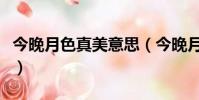 今晚月色真美意思(今晚月色真美是什么意思)